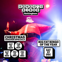 Bongo's Bingo: Christmas Cracker
